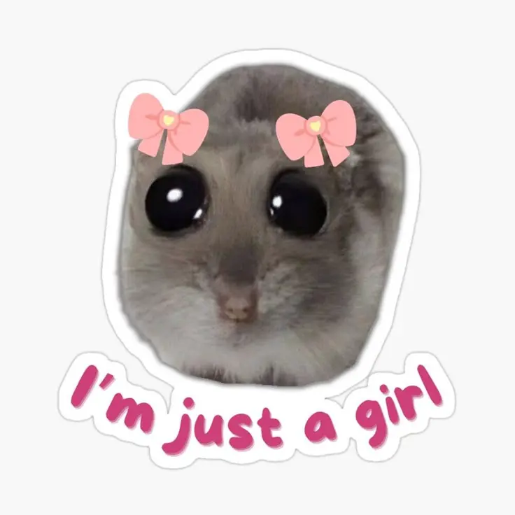 I am just a girl cute bow rat sticker