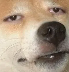 Annoyed dog sticker