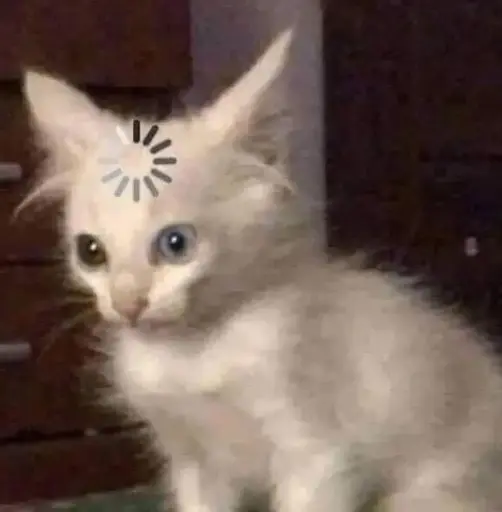 Loding cat sticker