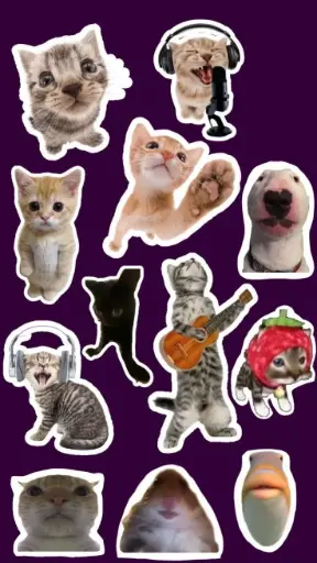 Cats meme stickers