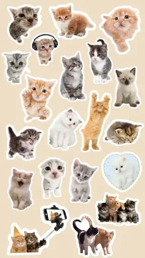 Cute cats stickers